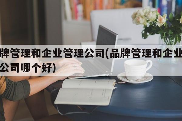 品牌管理和企业管理公司(品牌管理和企业管理公司哪个好)